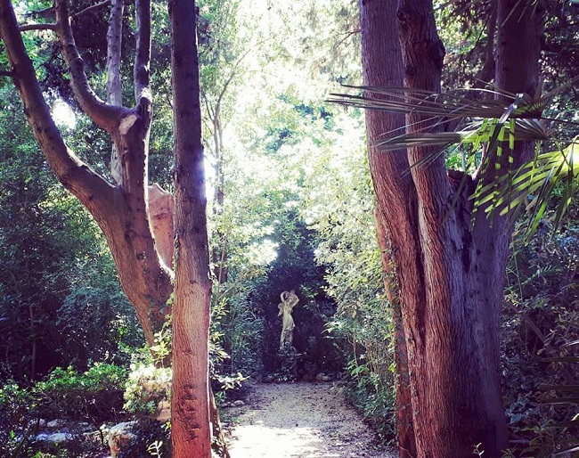 Loreto Aprutino Parco dei Lugustri estate ecologia botanica