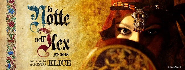 notte nell'ilex notte nell'ilex