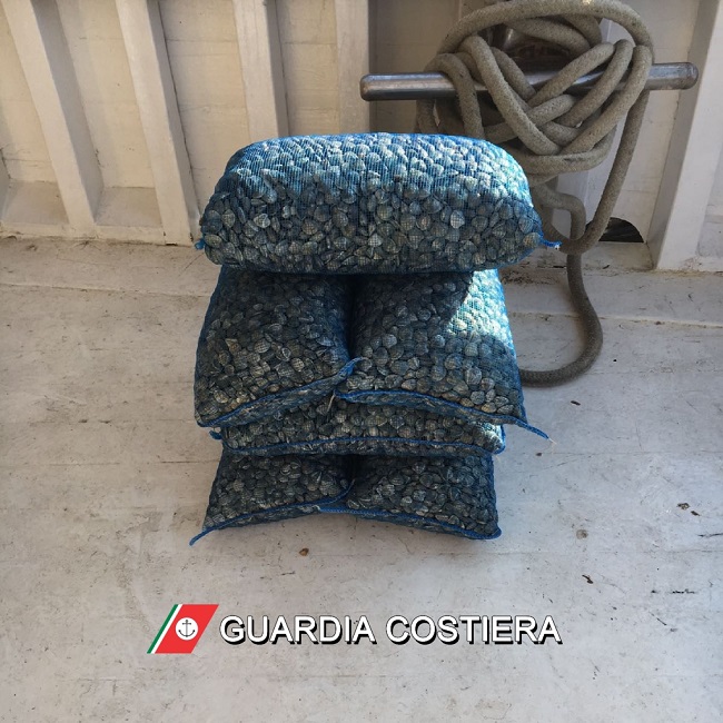 Giulianova fermato peschereccio oltre 1 quintale vongole