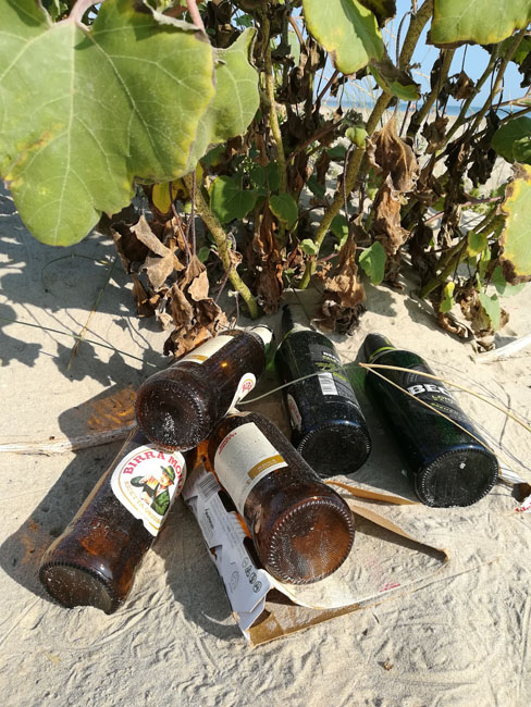 devastazione borsacchio