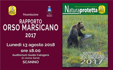rapporto orso marsicano 2017