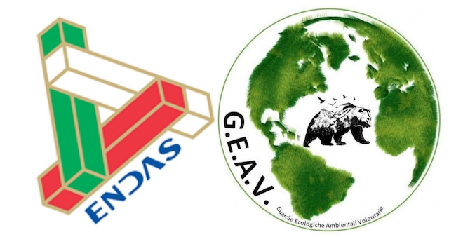 endas geav logo