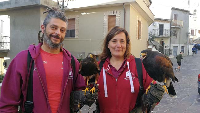 bird control Montesilvano