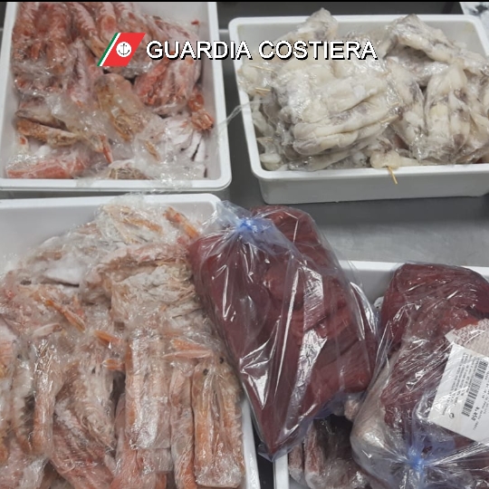 filiera ittica Giulianova