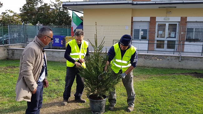 albero di natale montesilvano