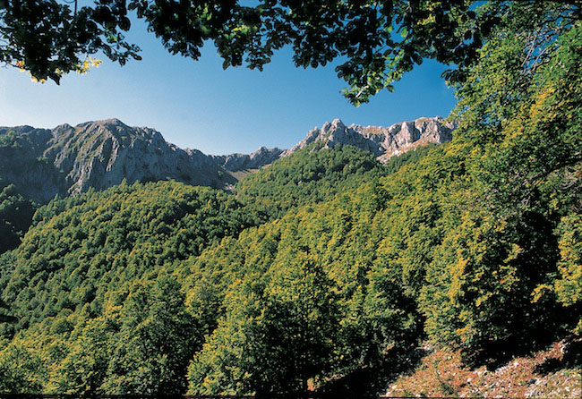 Parco Nazionale D'Abruzzo