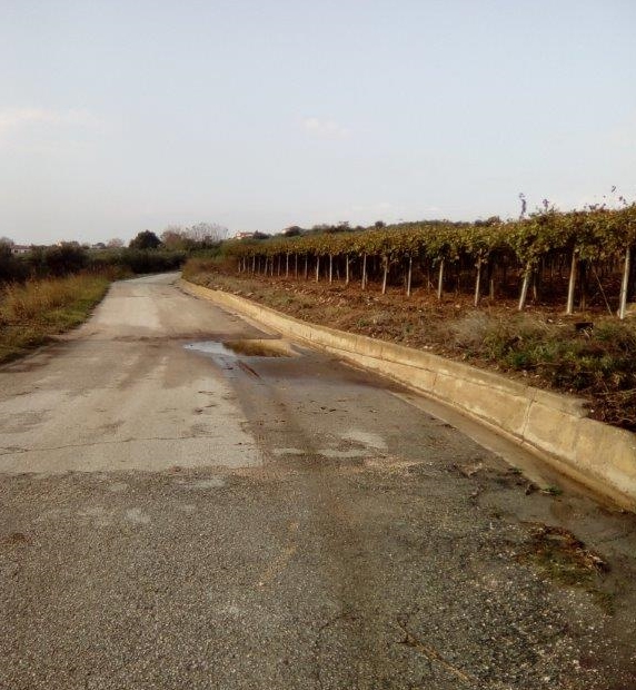 via colle pecorai Fossacesia