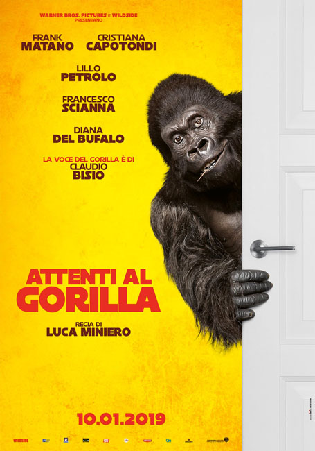 attenti al gorilla