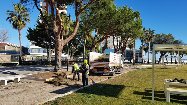 potatura alberi Montesilvano 2