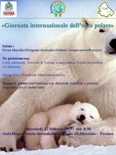 locandina orso polare
