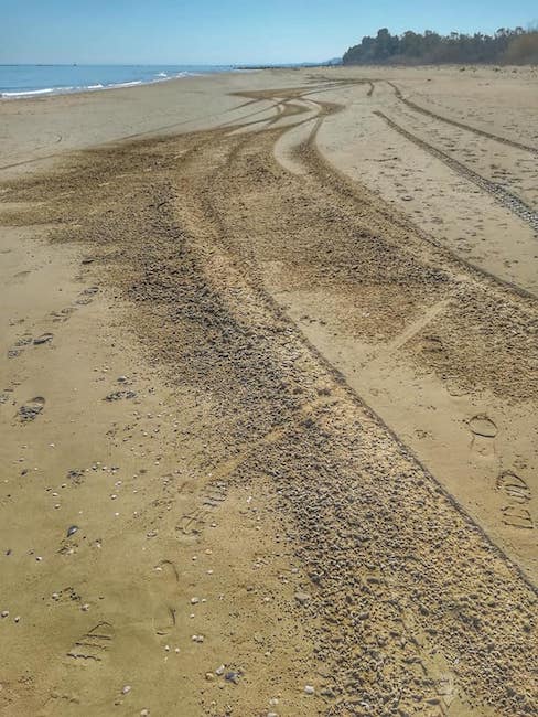 atti vandalici Borsacchio