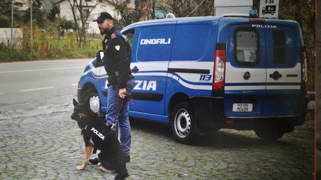 controlli scuole cane ketty