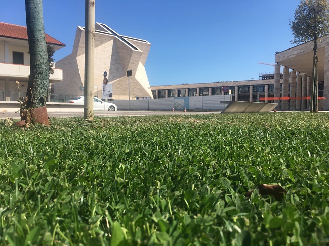 sgt verde piazza san rocco