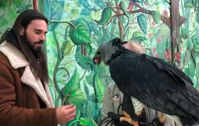 Giovanni Granati falconiere