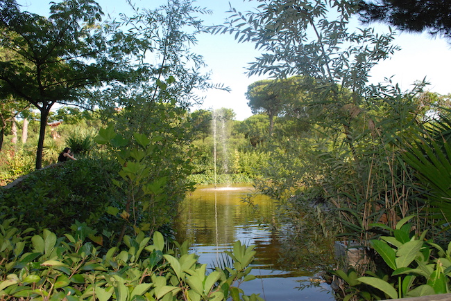 primo giardino uccelli Montesilvano