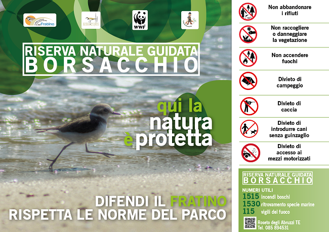 difendi il fratino locandina