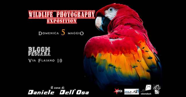 wildlife photografy exposition Daniele Dell'Osa 5 maggio 2019