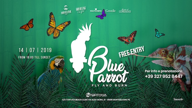 blue parrot 14 luglio 2019