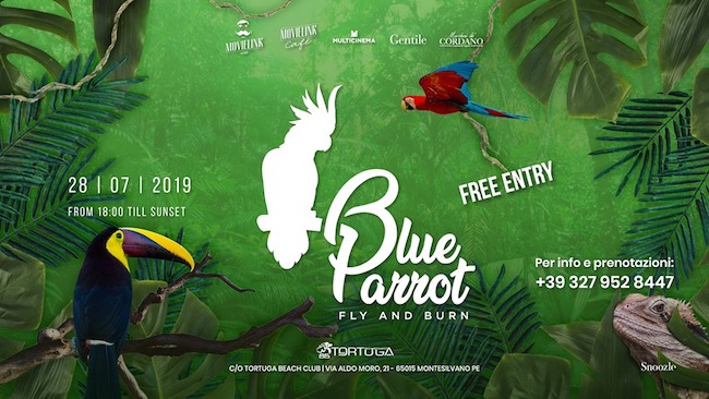 blue parrot 28 luglio 2019