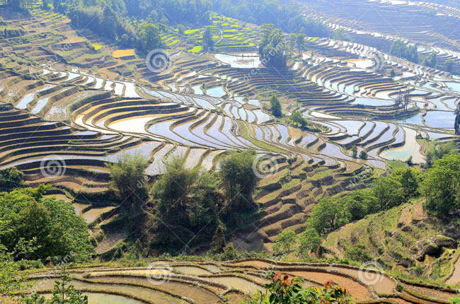 delegazione yunnan Teramo