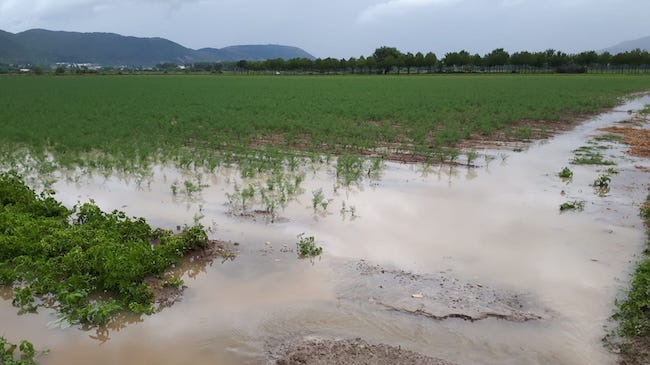 allagamenti colture luco dei marsi