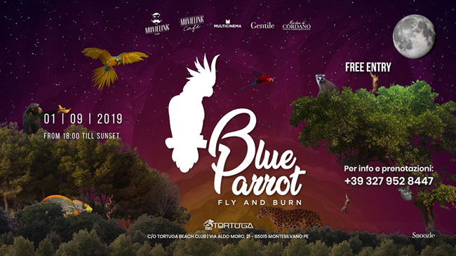 blue parrot 1 settembre 2019