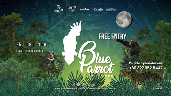 blue parrot 25 agosto 2019