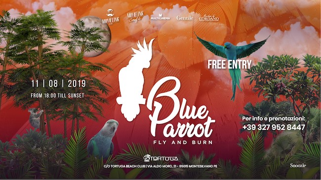 blue parrot tortuga 11 agosto 2019