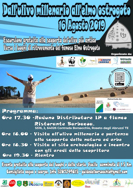 Dall’ulivo millenario all’elmo ostrogoto della Riserva Borsacchio