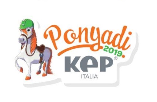 ponyadi Roma 2019