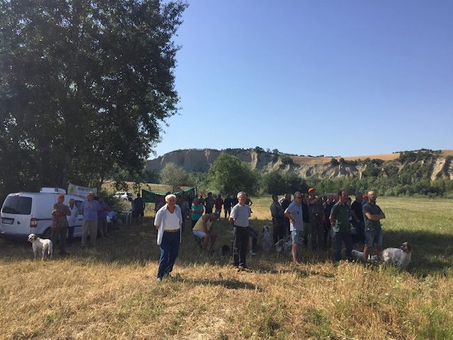 scene di gare cinofile