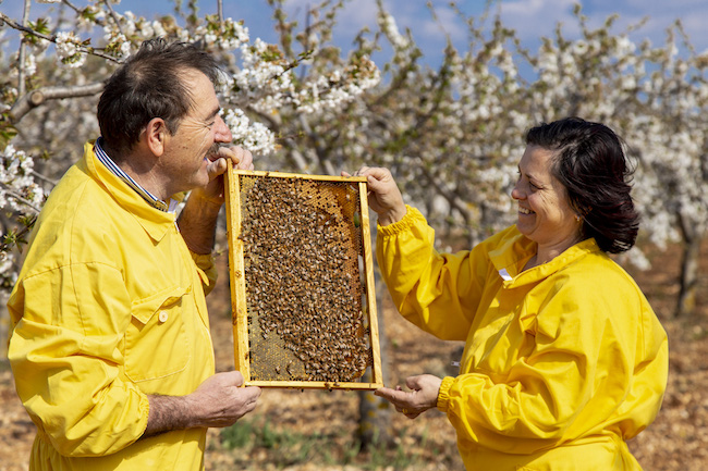 apicoltura Luca Finocchio