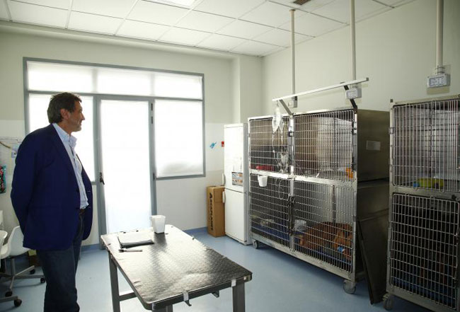 marsilio ospedale veterinario teramo