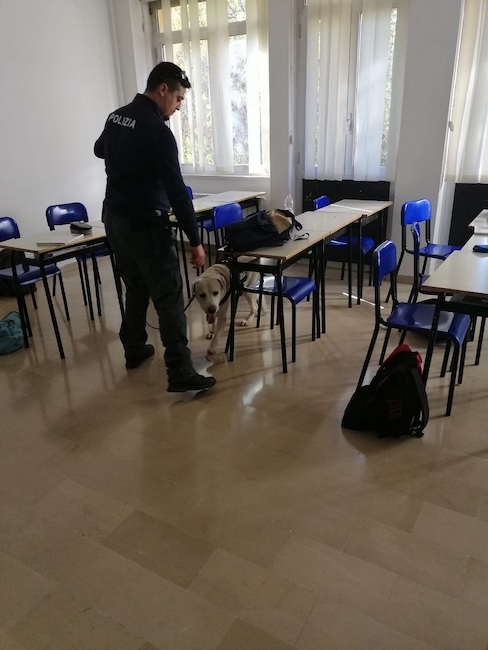 polizia controlli scuole cinofili