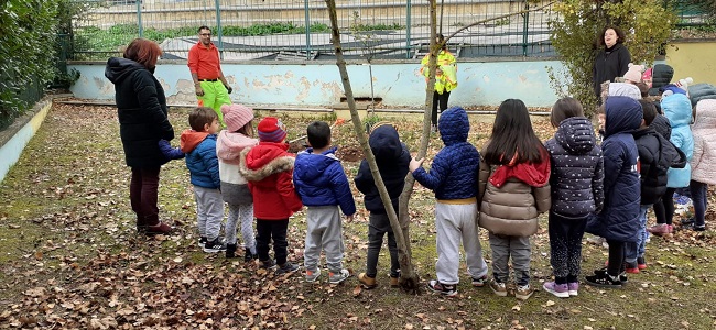 Tempera, le iniziative per la Festa dell'Albero