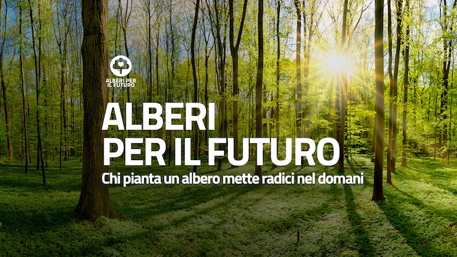 alberi per il futuro