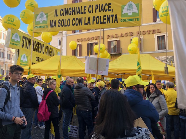 coldiretti roma 7 novembre 2019