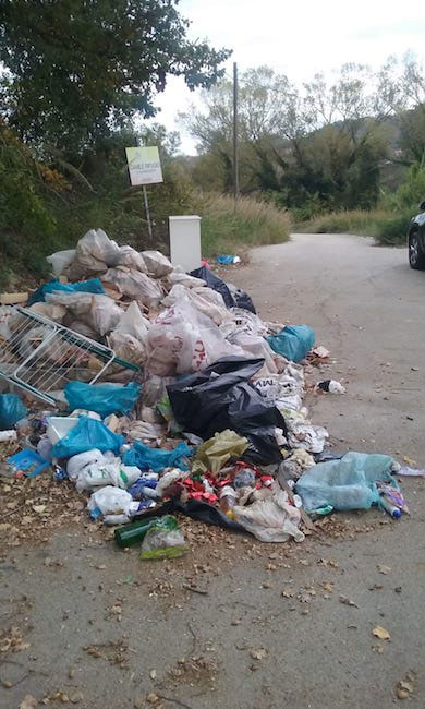 discarica canile chieti ripulita