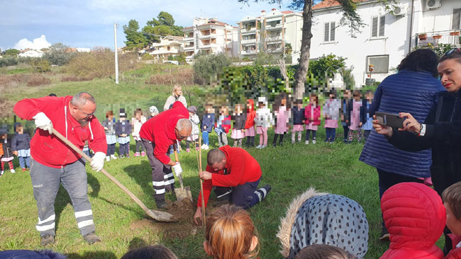 Nuove essenze arboree piantate alla Gobelli di Giulianova
