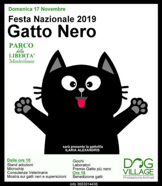festa gatto nero 2019