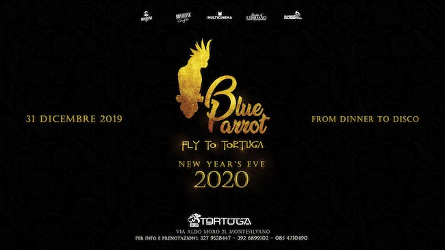 blue parrot tortuga capodanno 2020