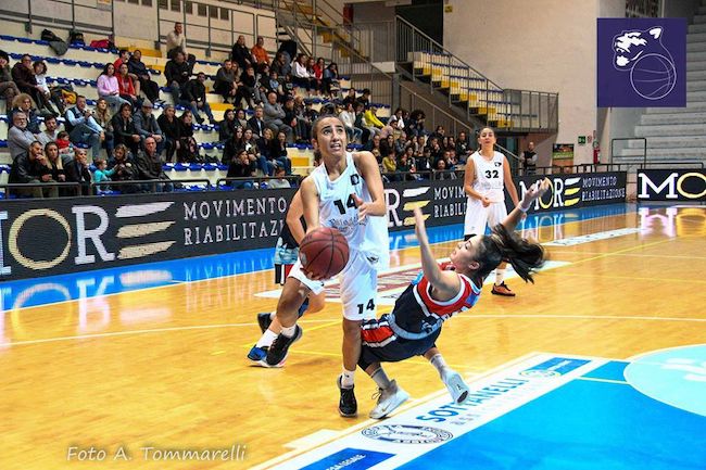 panthers vs stella azzurra