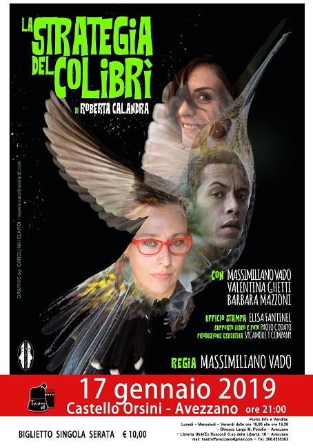 Locandina La strategia del colibrì Locandina La strategia del colibrì