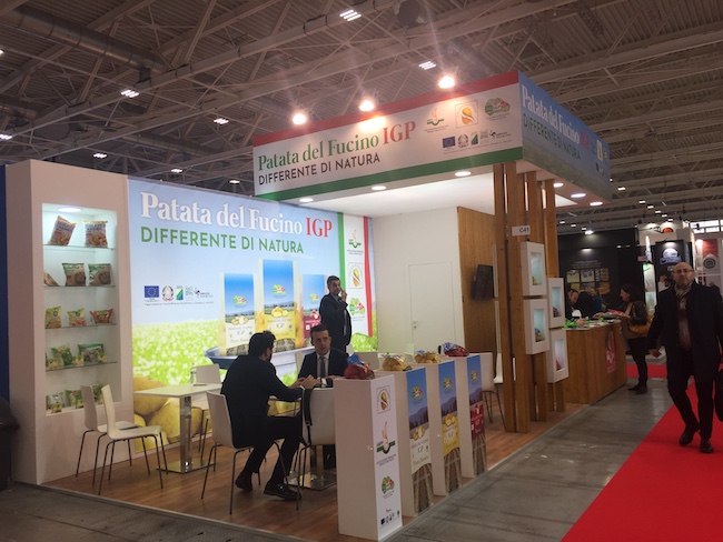 ampp marca di Bologna