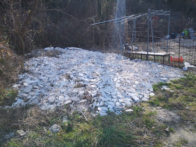 inquinamento ambientale