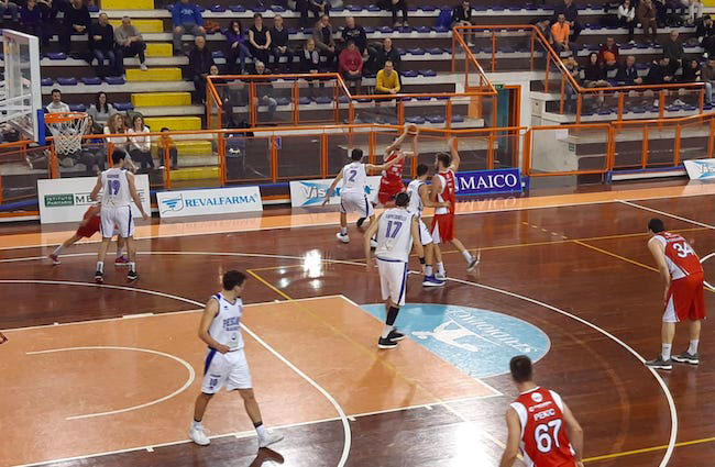 pescara basket taps