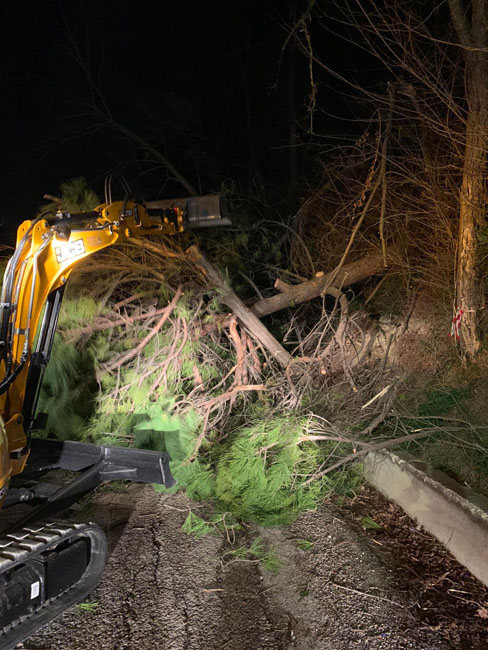 Tortoreto, caduto un albero di grandi dimensioni sulla carreggiata