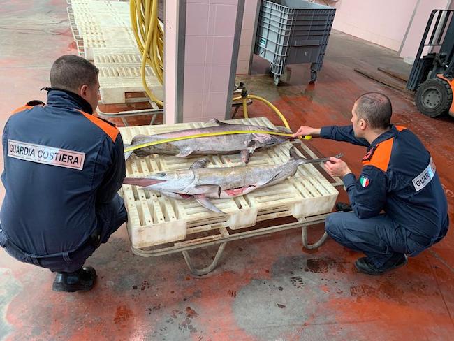 accertamento ittico giulianova