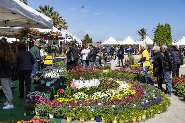 mostra del fiore Pescara