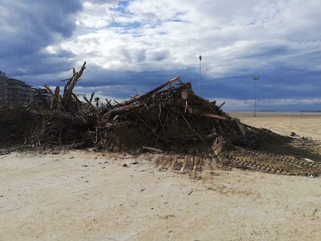 legna accatastata spiaggia pescara